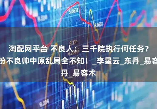 淘配网平台 不良人：三千院执行何任务？假扮不良帅中原乱局全不知！_李星云_东丹_易容术