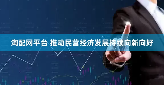 淘配网平台 推动民营经济发展持续向新向好